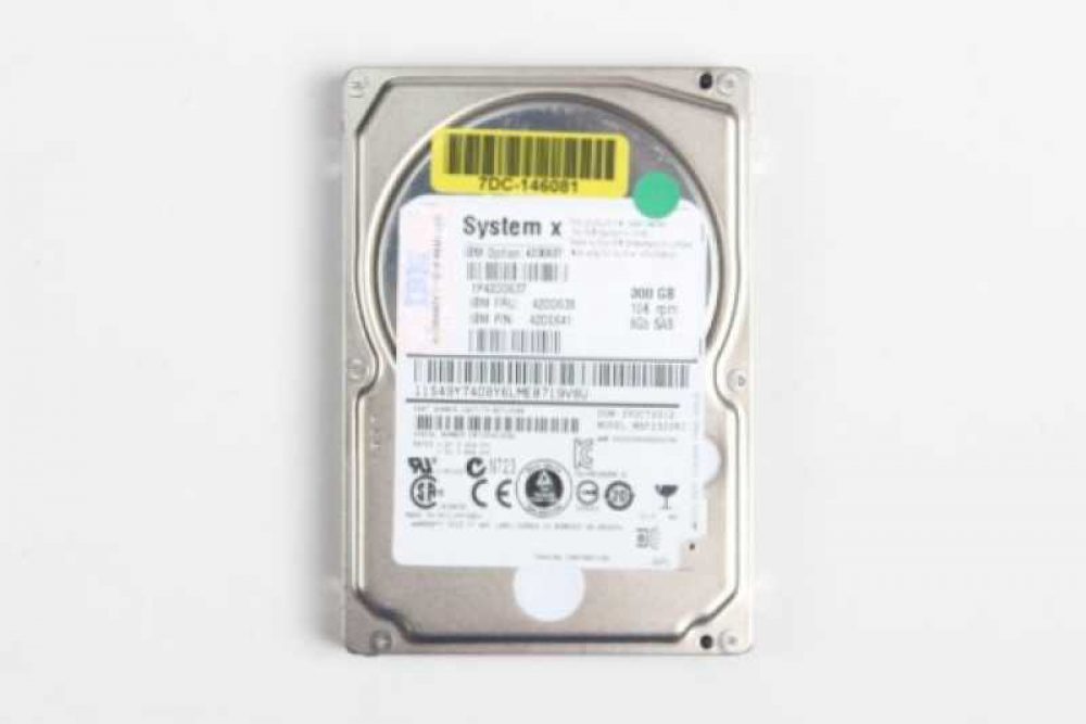 300GB 10K 6Gb SFF 2.5inch SAS drive
